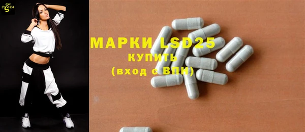 гашик Бородино