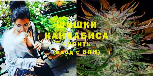 дурь Богданович
