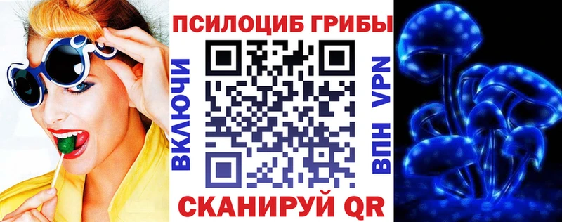 Псилоцибиновые грибы GOLDEN TEACHER  наркошоп  Кириши 